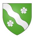 blason usuel Schaerbeek