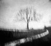 Staquet Laurie