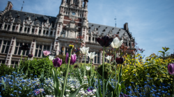 fleurs devant l'hôtel communal