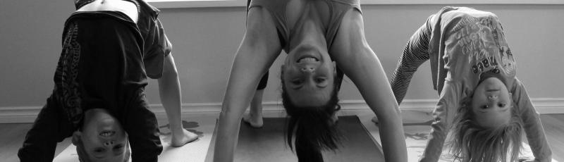 Yoga family