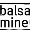 Logo de la Balsamine