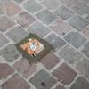 pavé mosaïque