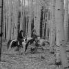 Deux hommes à cheval traversent une forêt, l'un porte une coiffe améridienne