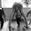 Yoga family