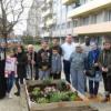 Potager partagé