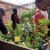 jardinage