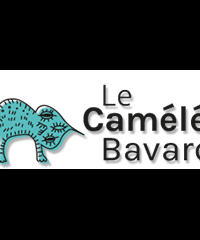 logo Le Caméléon Bavard