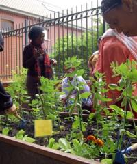 jardinage