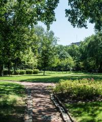 parc Albert